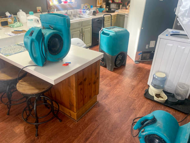Best Local water damage restoration  in Williston Highlands, FL