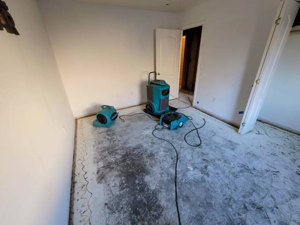 Best Flood damage cleanup  in Williston Highlands, FL