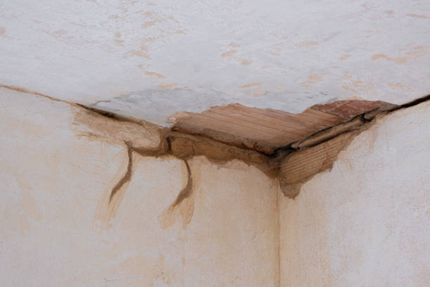 Best 24-hour water damage restoration  in Williston Highlands, FL