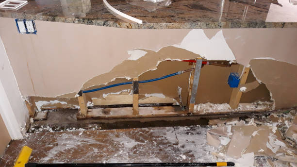 Best Water damage restoration services  in Williston Highlands, FL
