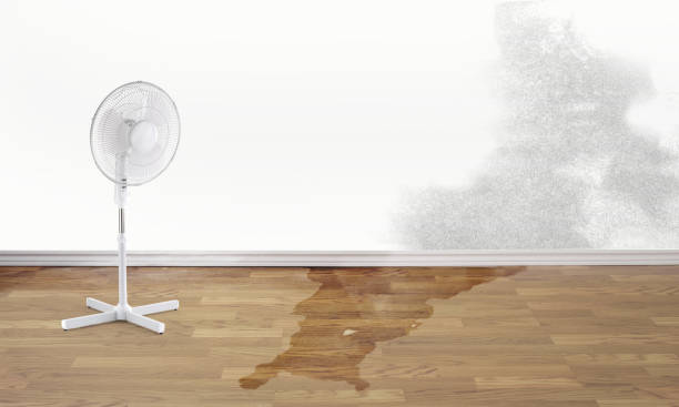 Best Sewage cleanup and water damage restoration  in Williston Highlands, FL