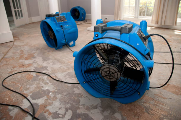 Best Fire Damage Restoration  in Williston Highlands, FL