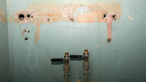 Best Sewage cleanup and water damage restoration  in Williston Highlands, FL