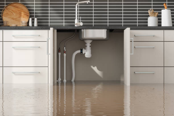Best Fire Damage Restoration  in Williston Highlands, FL