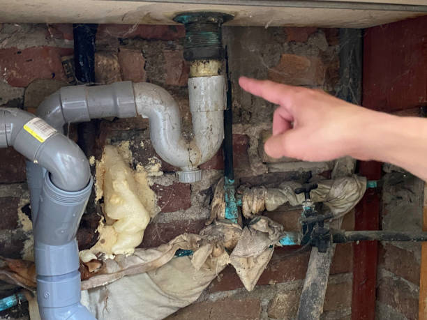 Best Basement water damage restoration  in Williston Highlands, FL