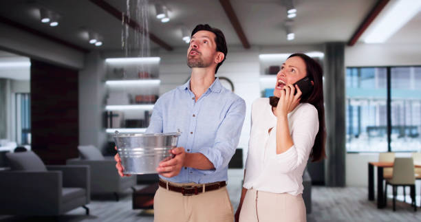  Williston Highlands, FL Water damage restoration Pros