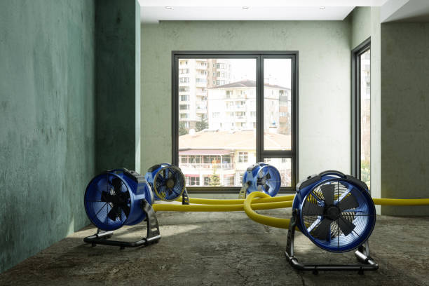 Best Emergency water damage restoration  in Williston Highlands, FL