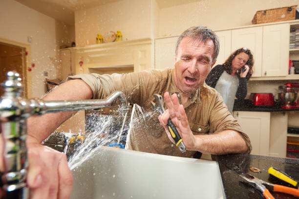 Best Ceiling water damage repair  in Williston Highlands, FL